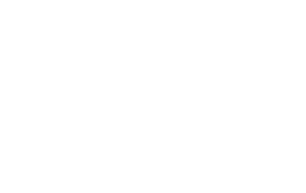 Dario Pitti Logo